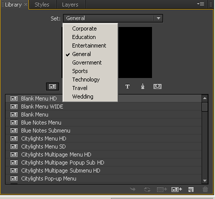 EN CS6 Library Panel.png